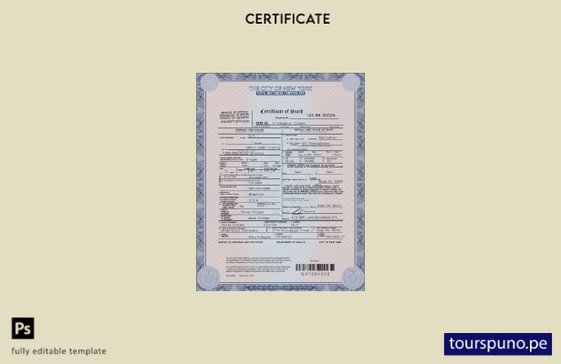 listo para imprimir plantilla de certificado de defunción del estado de Nueva Yo